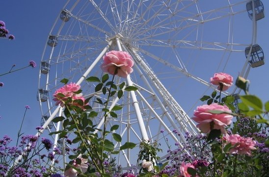 ad43d31ef722fba6770a