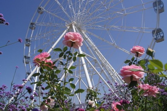 ad43d31ef722fba6770a